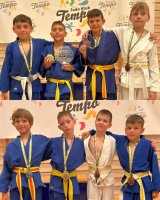 Click to enlarge image jk-dalmacijacement-kup-svante04.webp