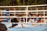 Click to enlarge image fight-night-10.webp