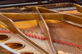 Click to enlarge image recital-marin-limic-22.webp