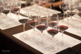 Click to enlarge image degustacija-vina-cecavac-06.webp