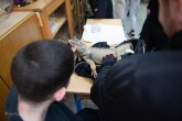 Click to enlarge image egzoticne-zivotinje-02.jpg