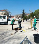 Click to enlarge image travarica-stabla01.webp