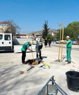 Click to enlarge image travarica-stabla03.webp