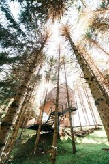 Click to enlarge image glamping02.jpg