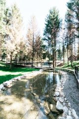 Click to enlarge image glamping04.jpg