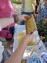Click to enlarge image botanicki-vrt-ostrog-50-obljetnica02.webp