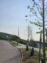 Click to enlarge image dugopolje-stabla02.webp