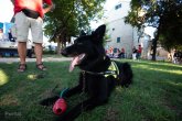 Click to enlarge image zelena-festa-003.webp