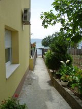 Click to enlarge image fredy11.jpg