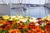 Click to enlarge image marina-sajam-cvijeca01.webp