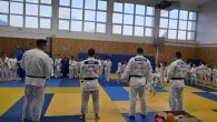 Click to enlarge image judo03.jpg