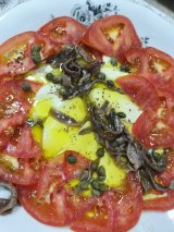 Click to enlarge image gastro-01.webp