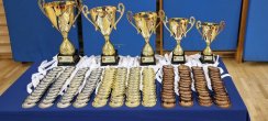 Click to enlarge image 02002judo.jpg