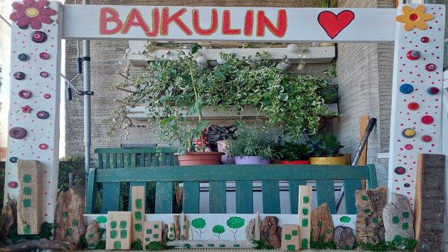 bajkulin