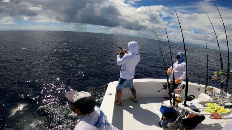biggamefishing najava
