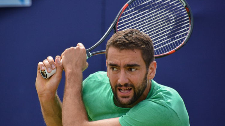 cilic commons.wikimedia.org