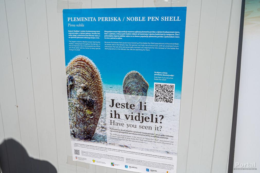 Click to enlarge image ciscenje_podmorja_kastela_008.jpg