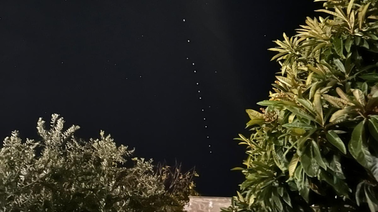 starlink mala
