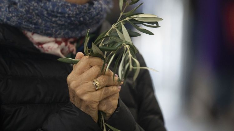 Cvjetnica - Nedjelja Muke Gospodnje&nbsp;