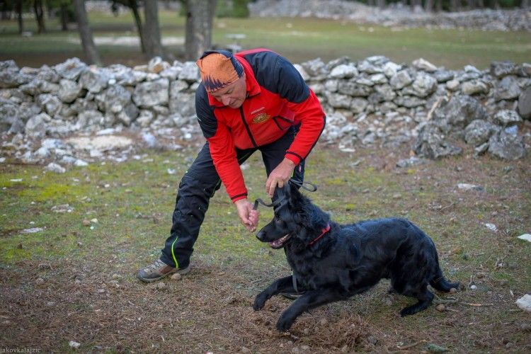 Bruno Ćapeta i Elza
