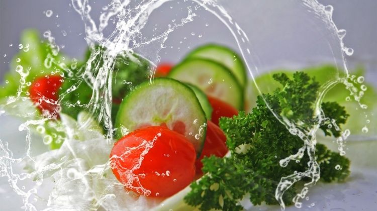 5 ključnih nutrijenata koje svaka žena treba za uspješno mršavljenje - Times of India