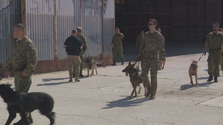 NATO organizirao vježbe sposobnosti radnih pasa vojne policije