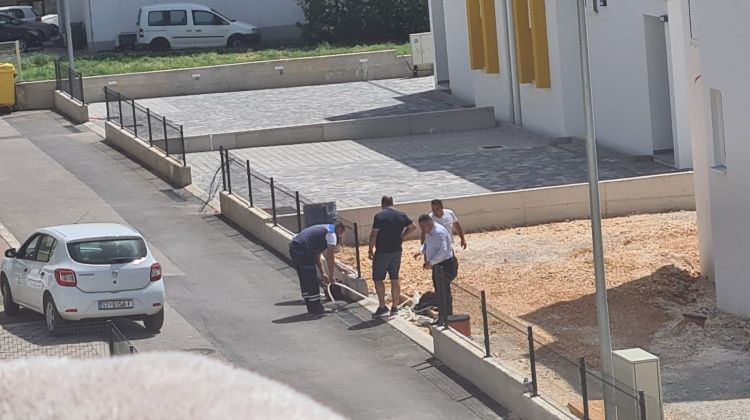 voda luksic