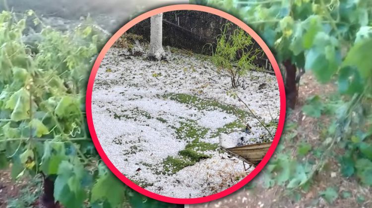 TJEDNA PROGNOZA Danas lokalno lako nevrijeme, nažalost moguća je tuča. Nakon toga niz sunčanih dana, za vikend prvi val vrućina