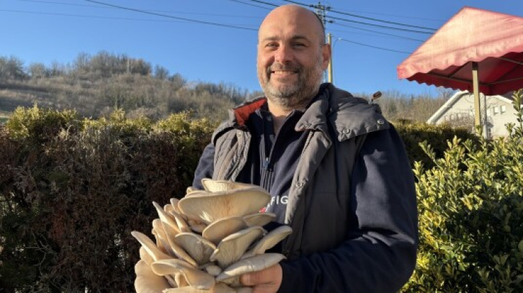 Tihomir Tucman: Najteže je ljude osvijestiti koliko su gljive zdrave