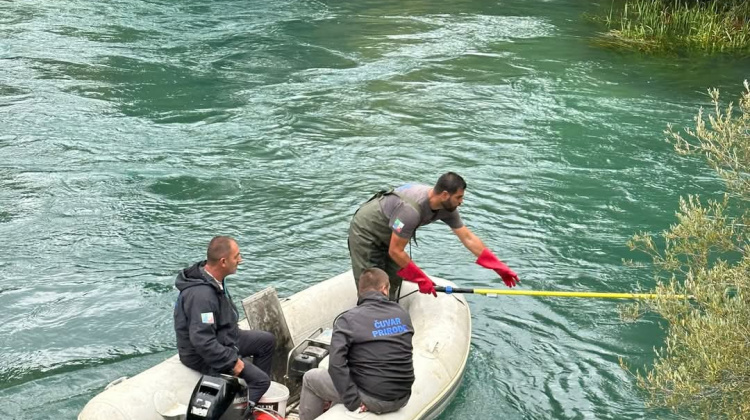 Povijesni uspjeh na rijeci Jadro: Prvi uspješan mrijest mekousne pastrve