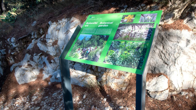 Izlet na Marjan: Uživancija u Botaničkom vrtu i potraga za najljepšim vidikovcem...