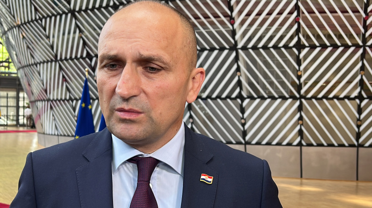 Anušić: Vojni mimohod u Zagrebu između 1. i 4. kolovoza