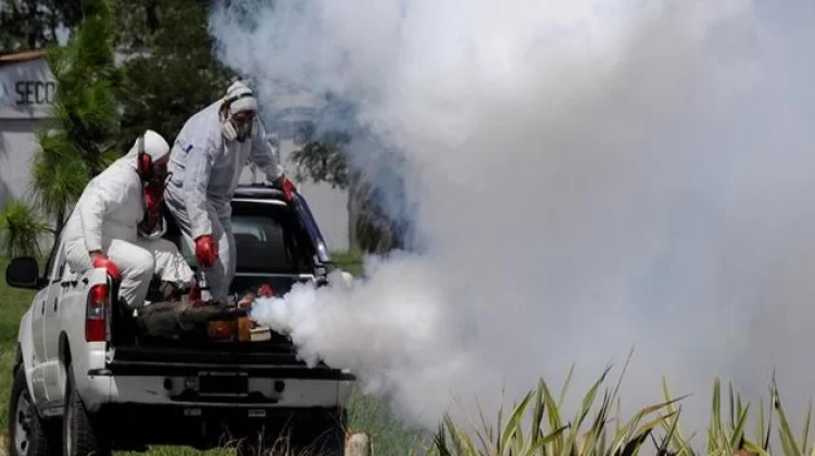 U petak dezinsekcija tigrastog komarca na području grada 