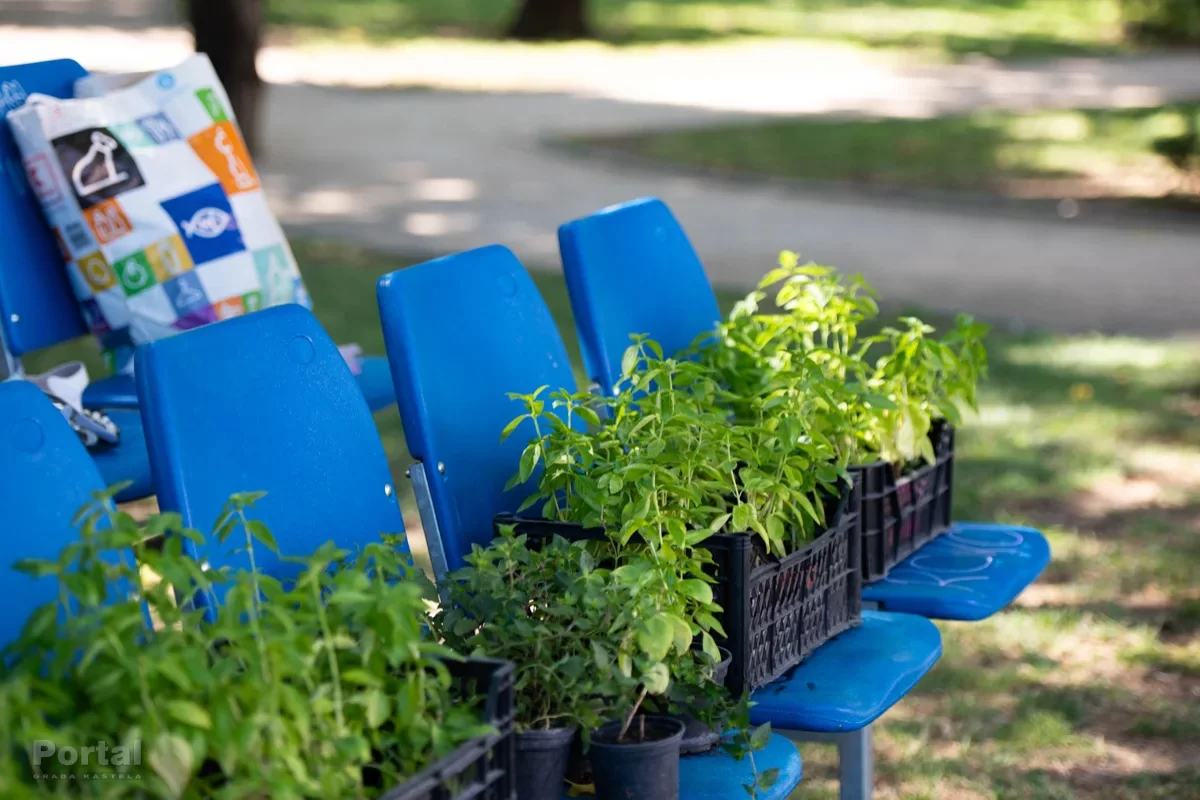 Piknik u Dudanovom parku: 