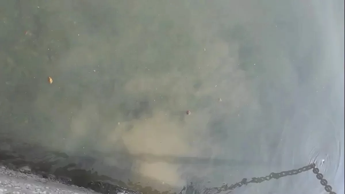 Dr.sc Slaven Jozić o ispustu kanalizacije u more na Poždorinama: Ovo su čiste fekalije