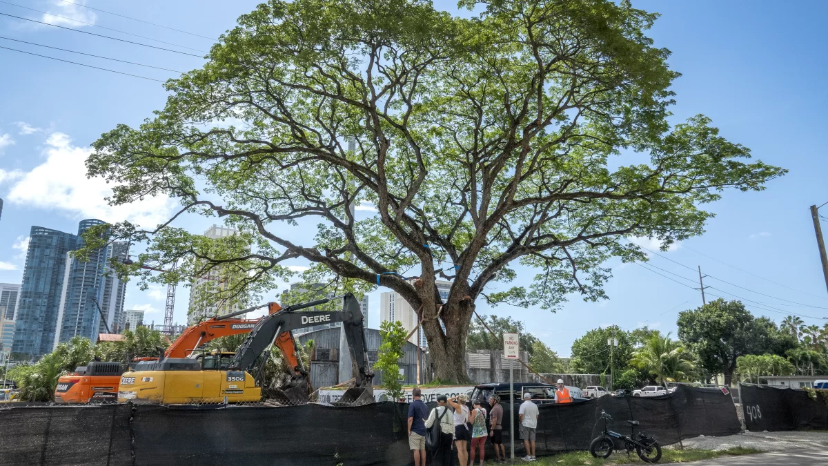 Madrid: Građani žele više stabala jer snizuju paklene vrućine 