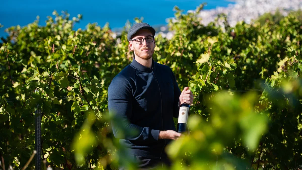 OPG Perišin: Bila je lipa intrada, vina će biti elegantnija ove godine