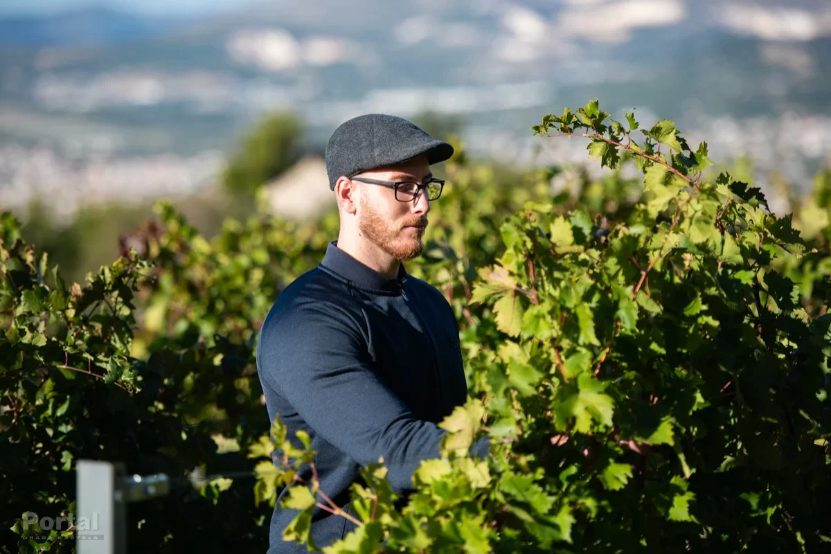 OPG Perišin: Bila je lipa intrada, vina će biti elegantnija ove godine