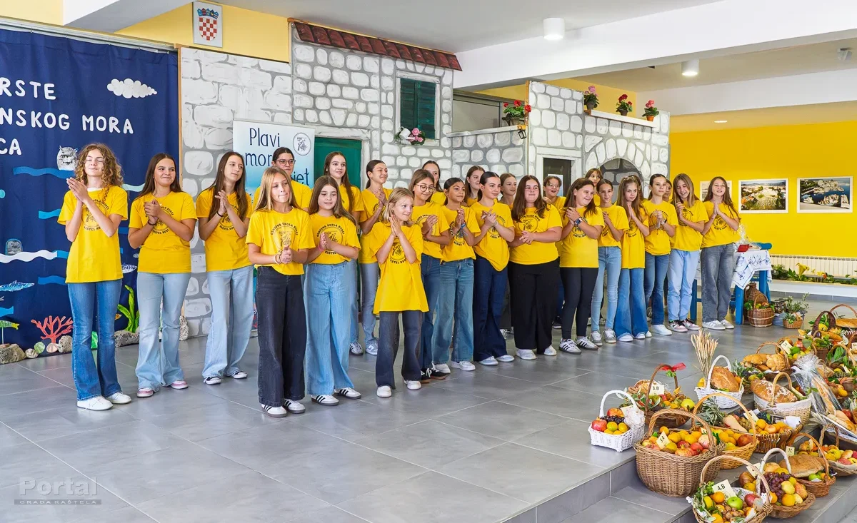 deveta srdelijada 33t