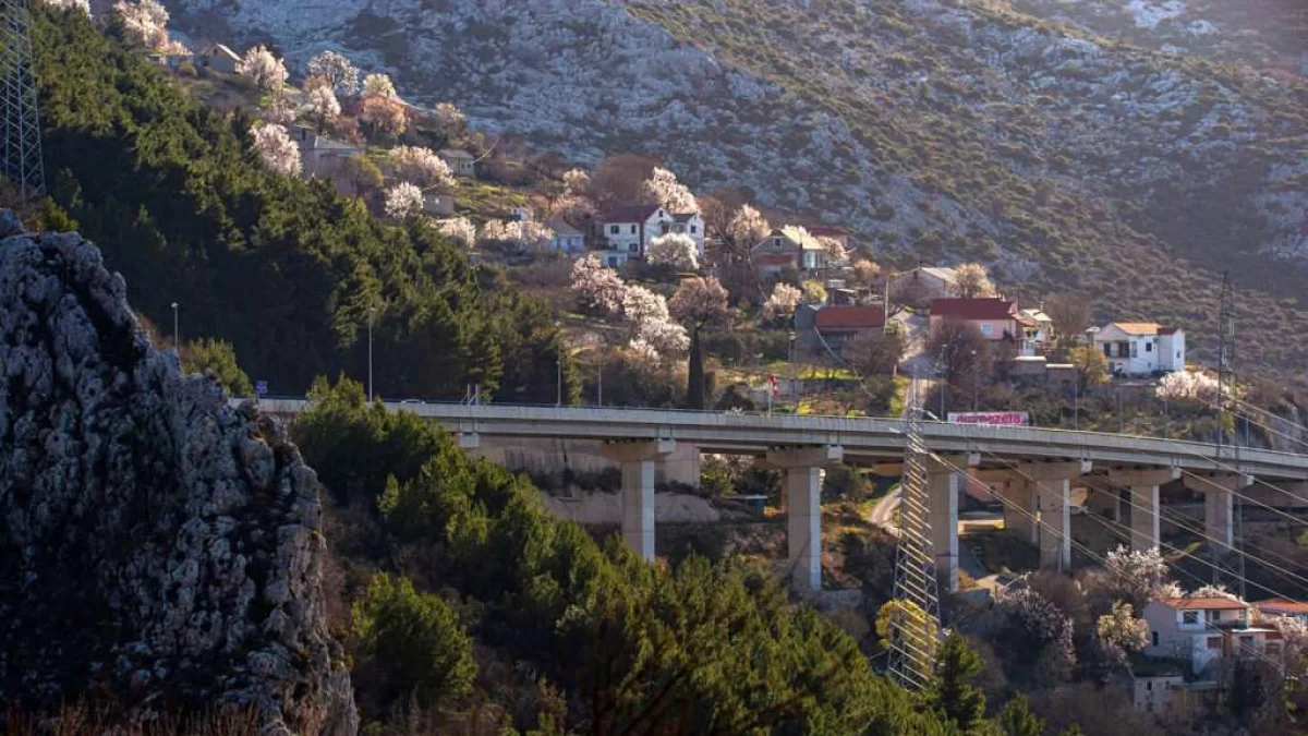 Podjela bonova za božićne blagdane