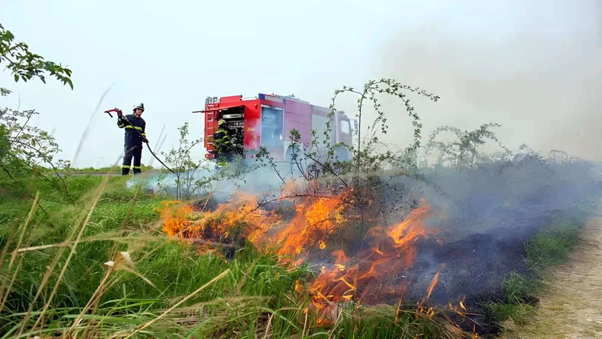 Na Klisu gorjela trava, intervenirali vatrogasci