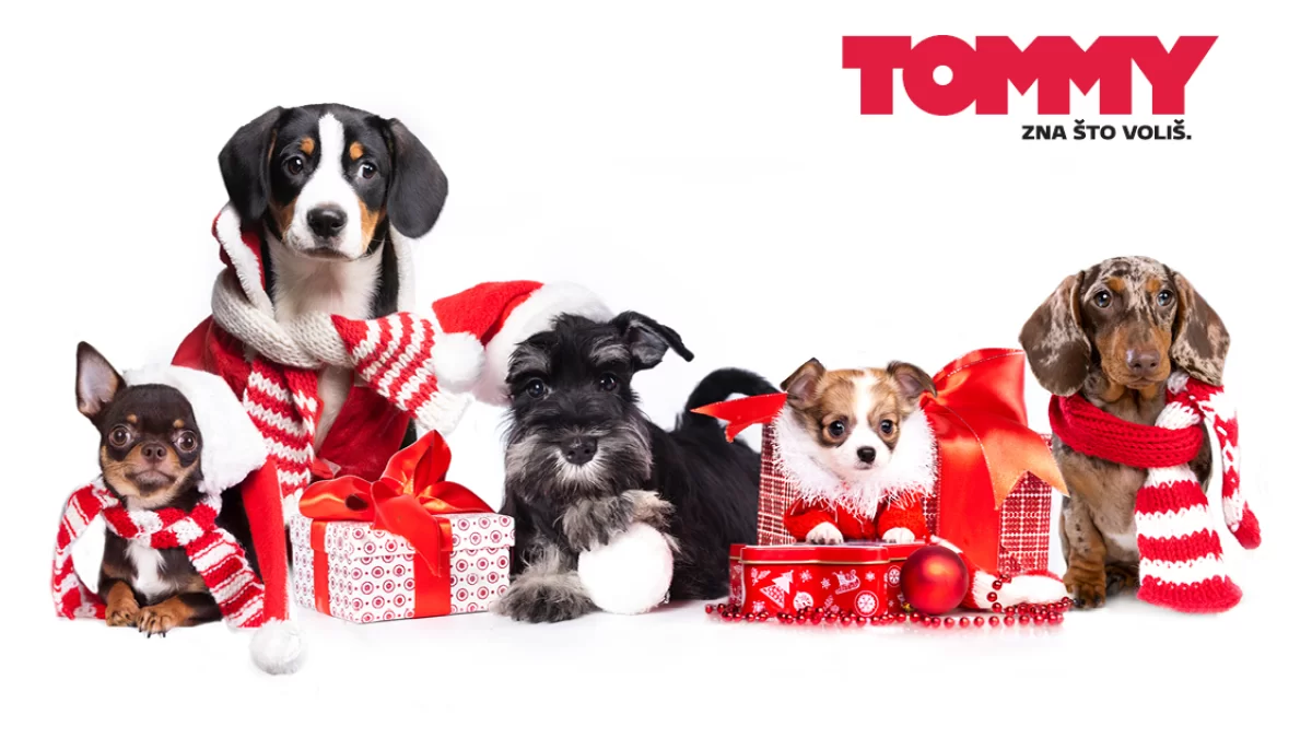 Tommy ne prodaje pirotehniku