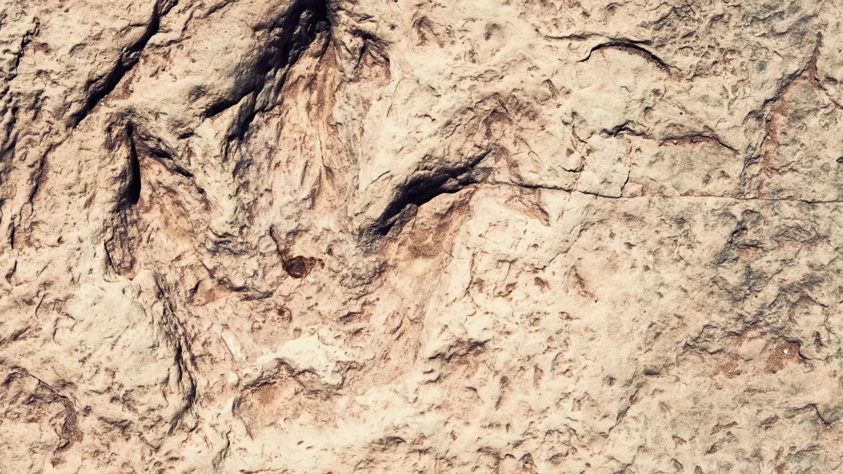 Rekordan broj otisaka stopala dinosaura otkriven u Boliviji