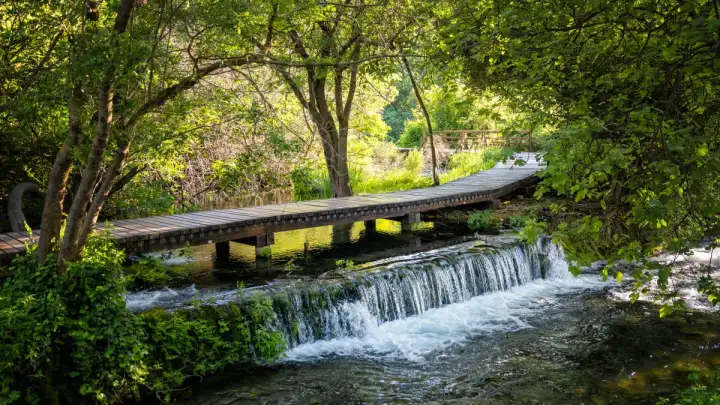 Nacionalni park Krka poziva na Šumsku radionicu u povodu Svjetskog dana šuma