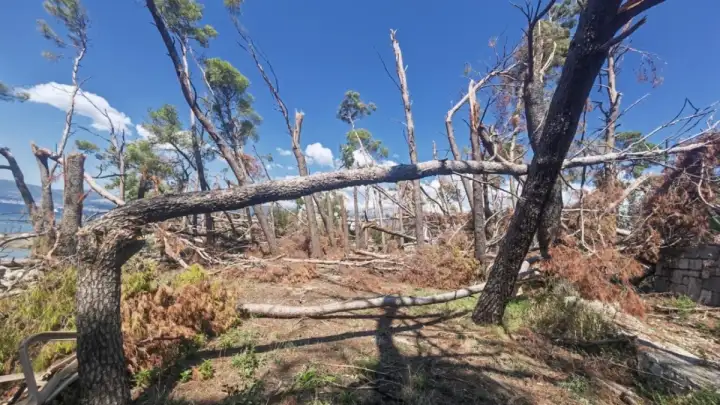 Dan Marjana: Klimatske promjene i bespravna gradnja najveće prijetnje
