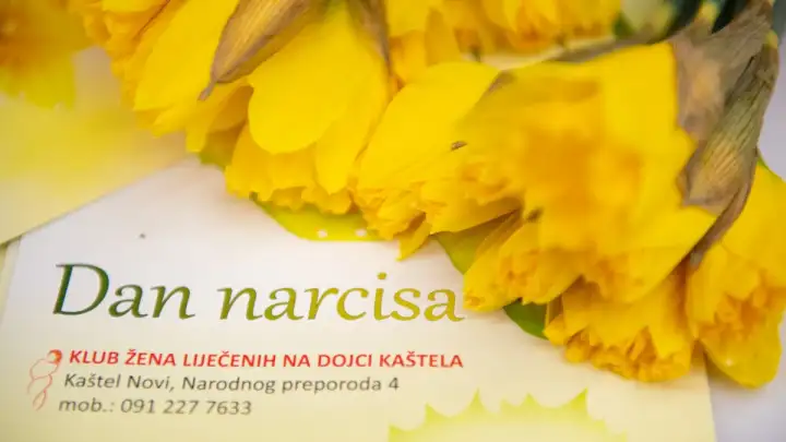 U Kaštelima će se u subotu obilježiti Dan narcisa