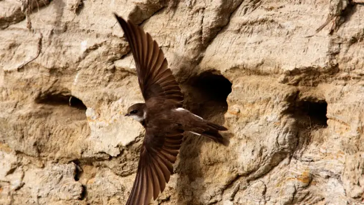 Ministarstvo: Utrka za prirodu počinje u petak