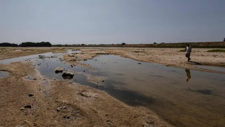Znanstvenici: Klimatske promjene "pogoršavaju" sušu diljem Europe