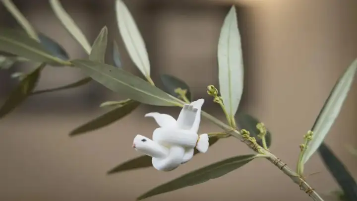 Prijave na uskršnje radionice u GKT: izrađuju se golubice i pletu maslinove grančice