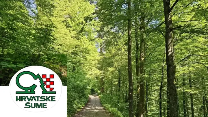 Kaštelanin zadužen za unutarnji nadzor godinama trpio mobing u Hrvatskim šumama, sud ga vratio na radno mjesto